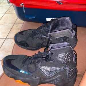 Lebron 13 black lion